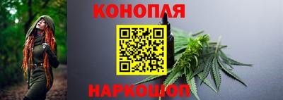 mdpv Новозыбков